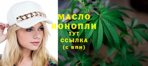 гашик Козельск