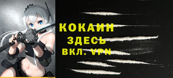 apvp Кодинск