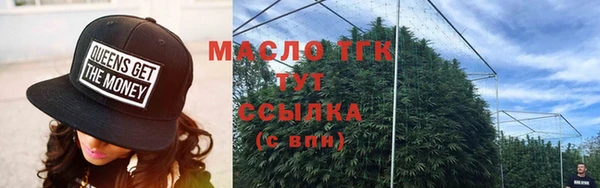 гашик Козельск