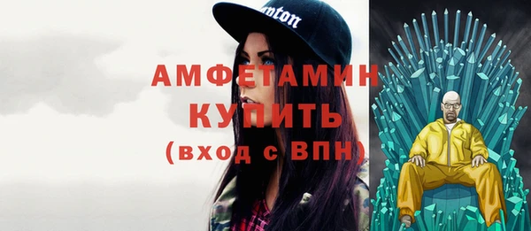ГАЛЛЮЦИНОГЕННЫЕ ГРИБЫ Козловка