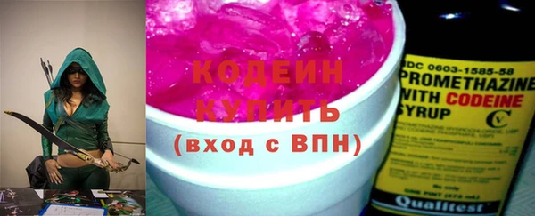 ГАЛЛЮЦИНОГЕННЫЕ ГРИБЫ Козловка