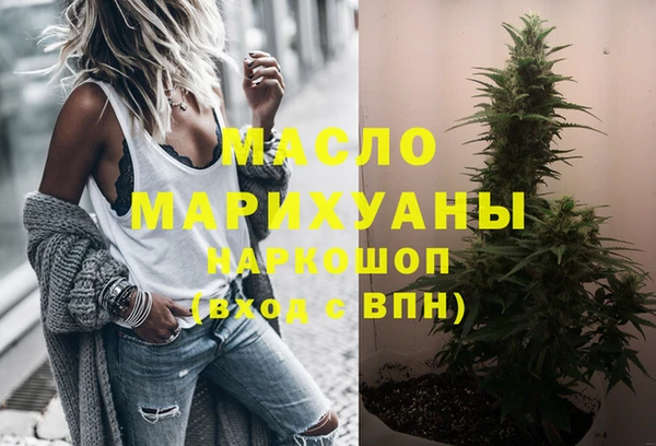 гашик Козельск