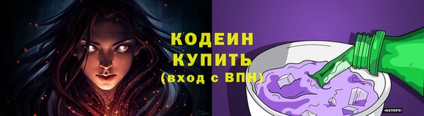 гашик Козельск