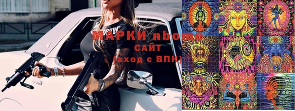 ГАЛЛЮЦИНОГЕННЫЕ ГРИБЫ Козловка