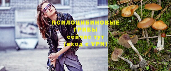 ГАЛЛЮЦИНОГЕННЫЕ ГРИБЫ Козловка