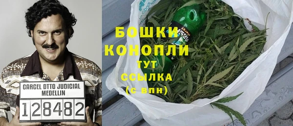 ГАЛЛЮЦИНОГЕННЫЕ ГРИБЫ Козловка