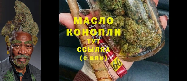 ГАЛЛЮЦИНОГЕННЫЕ ГРИБЫ Козловка