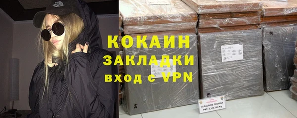 гашик Козельск